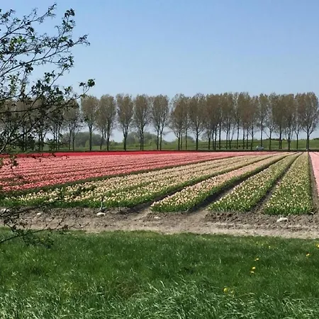 Rekerlanden 14